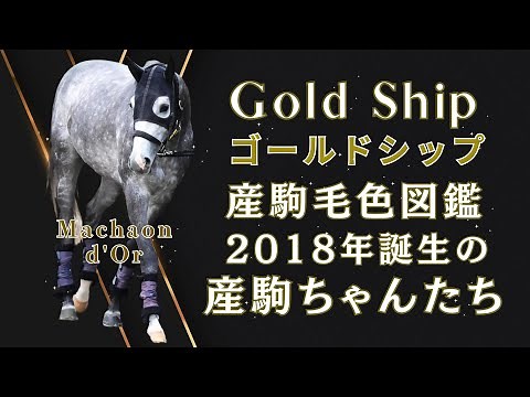 ゴールドシップ 2018年生まれの79頭の産駒ちゃん毛色図鑑 #ゴールドシップ #ゴールドシップ産駒 #競馬