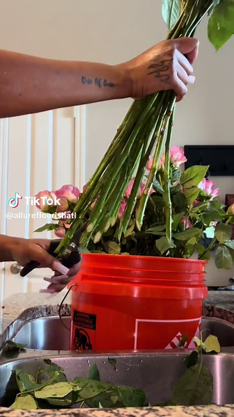 How to Prepare Roses After De-Thorning