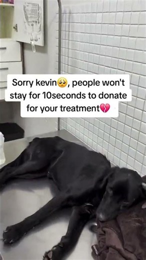 Will you stay for 15 minutes and pless all the buttons to help Kivin#usa #uk.
