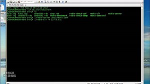 大型分布式系统必备利器之REDIS内存数据库_使用场景