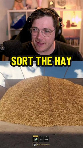 Sort through millions of pieces of hay to find just 1 needle! #sortinggame #satisfyinggame #gaming #trending #indiegames