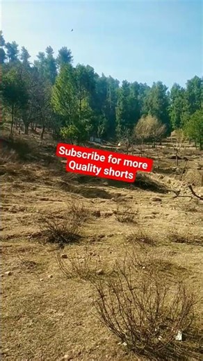 Natural beauty of Kashmir 💎💯#nature #travel#vlog #place #viralvideo ||Shorts "Nature in Kashmir"💖💜
