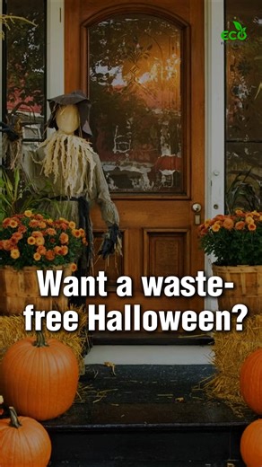 Celebrate Halloween with zero waste lifestyle tips! Try eco-friendly swaps to reduce plastic waste & host a greener party. 🌿 #ZeroWasteHalloween #ecofriendlyfact #sustainableliving #HalloweenTips | Eco Friendly