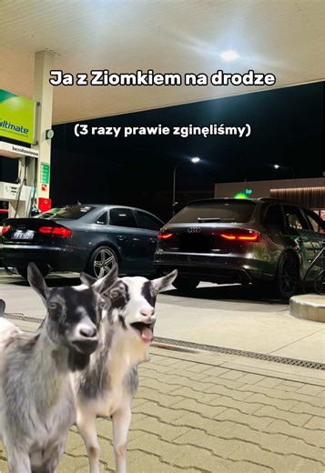 😂😂😂 @Oskar M #audi #a4b8 #tdi #dieselpower #takbylo #fyp #cap