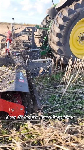 Hannes on Instagram: "Wir sind aktuelle mit einer Messerwalze im Einsatz und zerkleinern die Pflanzenreste. Vorher haben wir Roggen gestreut als Winter Begrünung. #landwirtschaft @saphir_maschinenbau_gmbh #messerwalze"