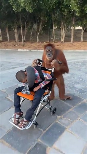 حبوبة مانحة السعادة