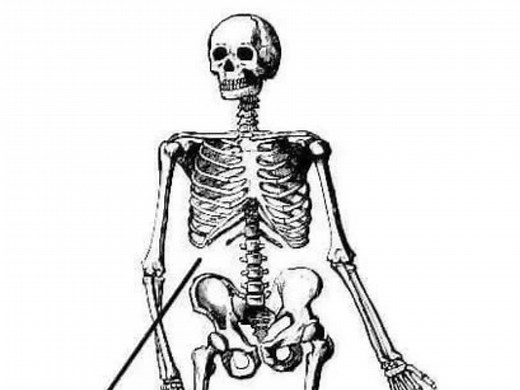 Distrust 2 Scrapped Phase 2