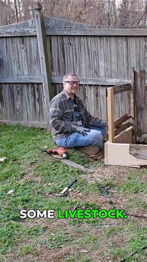 Starting Rabbit Breeding: The First Rule #homestead #farming