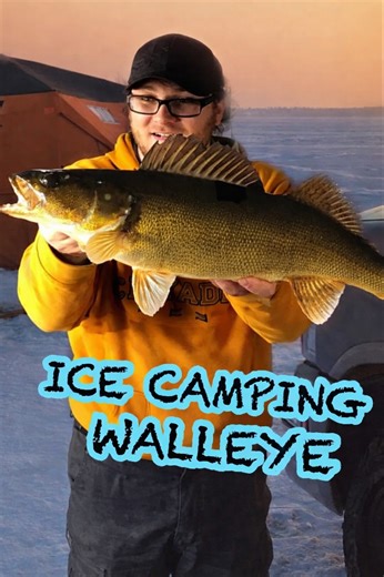 Overnight walleye fishing trip big bite on Helix 5 flasher cam