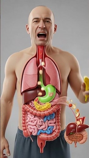 How Bananas & Vegetables Digest Inside Your Body | 3D Animation