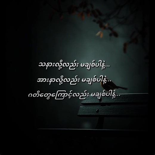 မန်းရှင်းကွာ☺#မဖလုတ်နဲ့ကွာ☹ #စာတို💯 #စာသားတူသွားရင်crdပါဗျ😾❤ . . . . #link_in_com🎟🖇 #alightmotion_edit☹tiktok