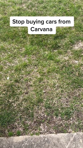 Q-M Auto Repair on TikTok