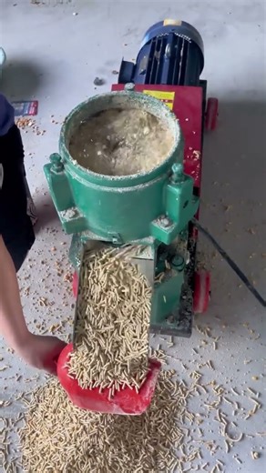 Home making pellets for animal feed