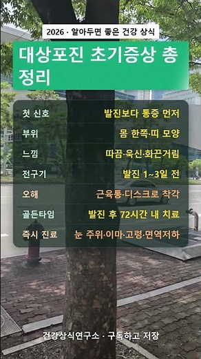 대상포진 초기증상 총정리 | 발진 전 통증·진행 단계·72시간 골든타임