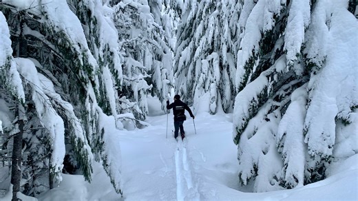 What's the forecast for Oregon's winter? Snowier than normal conditions predicted