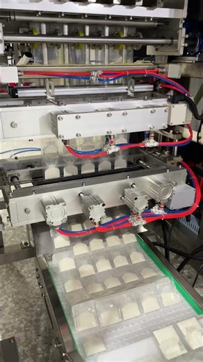 Do you like this 5-channel powder packaging machine?#machine #powderpackaging #packagingmachine