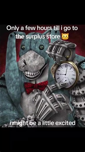 Exploring Military Surplus Treasures