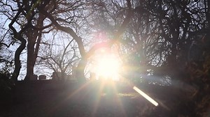 11 reactions | “I work in photography and photography pre-digital age...