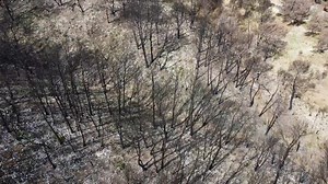 2.9K views · 55 reactions |  MOIS DE LA PRÉVENTION Les incendies peuvent marquer les esprits et faire basculer un jour de fête en enfer. C'est ce qu'il s'est passé le 14 juillet 2022 à Barbentane lors de l'incendie de la Montagnette. Ce jour là, un train cause des départs simultanés (plus d'une trentaine) à proximité immédiate du massif. Témoignage inédit du maire de Barbentane qui nous raconte. #Moisdelaprévention #Préventionincendie #FIRECHASER | Fire Chaser 13 | Facebook