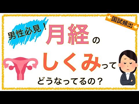 教科書をわかりやすく！「月経の仕組み」
