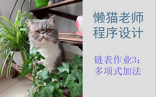 懒猫老师-C语言-链表作业3：多项式加法(链表练习,链表应用)