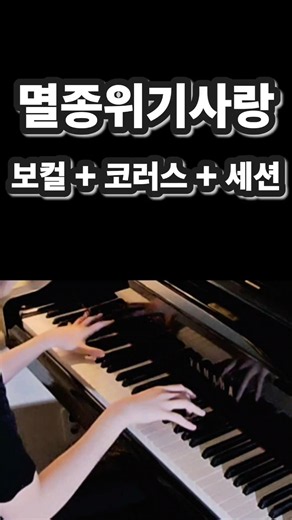 멸종위기사랑의 보컬 + 코러스 + 세션을 피아노 한 대로 | One Piano, Full Sound #shorts