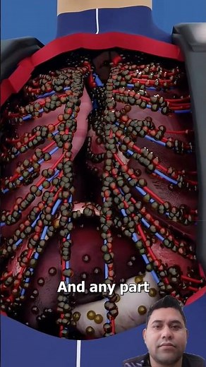 What Would Happen to Your Body Under Deep Ocean Pressure | Education Films