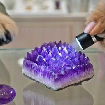 EP03】紫水晶全面睇！智慧之石的傳說、功效、揀法＋佩戴禁忌｜京犬 x 茶茶