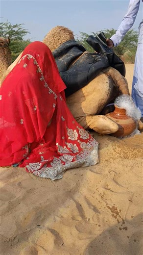 ما شاء الله، امرأة جميلة من صحراء ثر تركب الجمل وتملأ الماء، فيديو رائع ومميز.#حياة_بسيطة #تقاليد