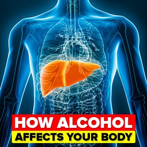 25K views · 203 reactions | Drinking alcohol affects your body even quicker than you realize! But what exactly is going on inside your body when the alcohol starts to make its way through your system? Check out today's new video that does a shot for science. | The Infographics Show | Facebook