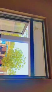 1.8K views · 28 reactions | School name : GPS Wahi Rahim District: Rahim yar khan EMIS Code: 31330406 Head : Farhat Hanif Focal person of the environmental club: Miss Sobia Nasim | School Education Information | Facebook