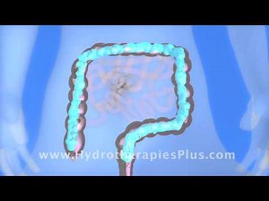 Open Colonic System Animation