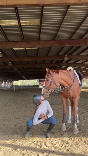 I swear this has helped tremendously with my lower back and hip pain, and my flexibility on the horse. Stretching is just as important before a ride, as it is before a workout! 🤍 #mobility #horsetok #equestrianexercises #equestrianathlete #showjumping