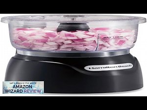 Hamilton Beach Electric Vegetable Chopper & Mini Food Processor 3-Cup 350 Watts Review