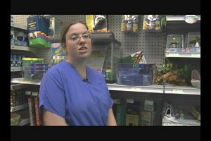 Watch Turtle Lifespan & Hibernation Habits on Amazon Live