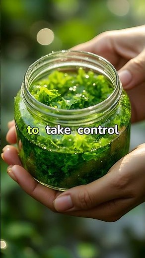 Grow Nutrient-Rich Algae at Home: A Superfood Solution