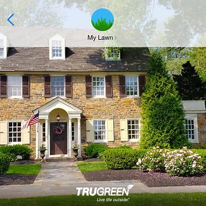 If only your lawn could send text messages. Keep your trees and shrubs looking healthy with TruGreen Tree and Shrub services before your lawn calls you out. Learn more: https://bit.ly/3IUNFqS | TruGreen