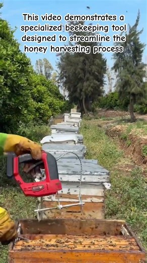 Beekeeping Efficiency: Automated Honeycomb Shaker 🐝