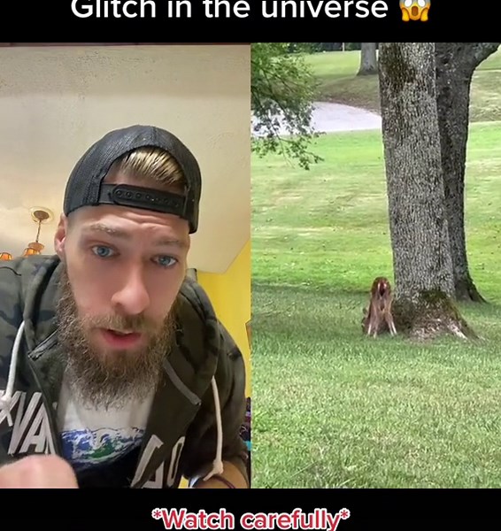 #duet with @sarinabeverly 😳WTF! Look carefully! #noway #wtf #weird #deer #wildlife #animals #CERN #timeline #glitch #paralleluniverse #woah #fyp #fypシ #foryou #reaction #watchthis #xyzbca #viral #4u