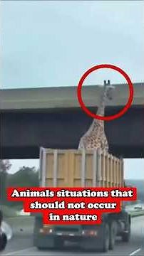 5 Animals That Broke The Laws Of Nature #shorts #animals #animallife #wildlife
