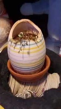 ei update nu ook op junior kids eomab abjm YouTube kanaal