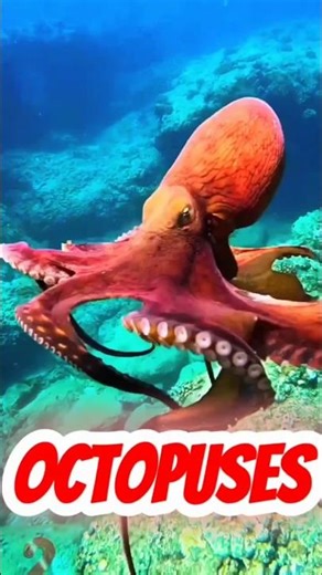 Title:10 Amazing Facts You Didn’t Know 😱 #shorts