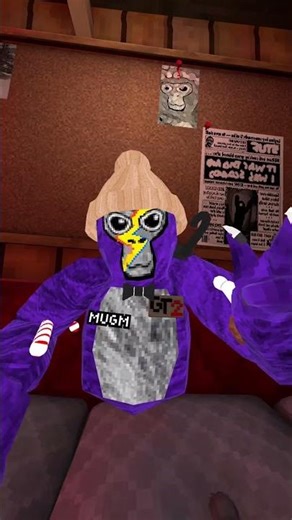 MugmFR #gorillatag #gorillatagquest #youtubeshorts