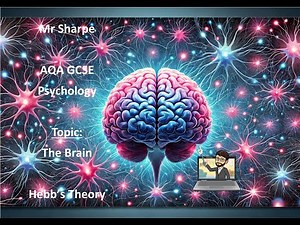 Hebb’s Theory of Learning and Neuronal Growth GCSE AQA Psychology Revision Video