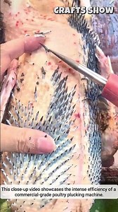Plucking Chicken Feathers in Seconds ⏱️✅