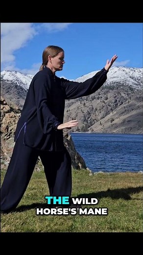 Build Balance & Coordination with Tai Chi (Parting the Wild Horse’s Mane)