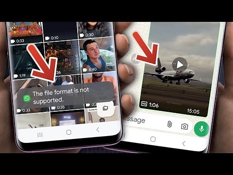 How to fix The file format is not supported error on Whatsapp 2025 | File format error on Whatsapp