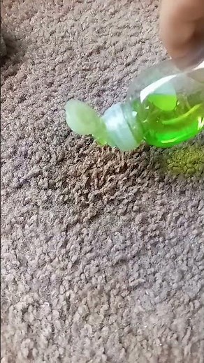 how to remove a mysterious acrylic paint from your carpet 🧼