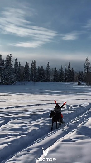 ⛷️ Black Friday Flash Sale is here! Two discounts stack up for your biggest savings of the year! 🎉Use Code: BF20 at checkout for an extra 20% OFF — on top of already reduced prices! 🔬 Tech-Backed Fabrics — Industry-certified materials that keep you warm, dry, and confident. ✨ Design-Forward Style — Exclusive colorways crafted for the ones who dare to be different. 🎁 Spend More, Save More $150 → Save 15% (Code: BF10) $300 → Save 20% (Code: BF20) 🏂 Be the trendsetter this winter — shop now and