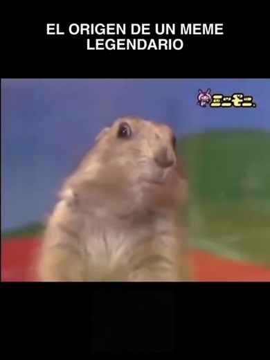 Regresenme al 2007: Memes y Cultura Internet